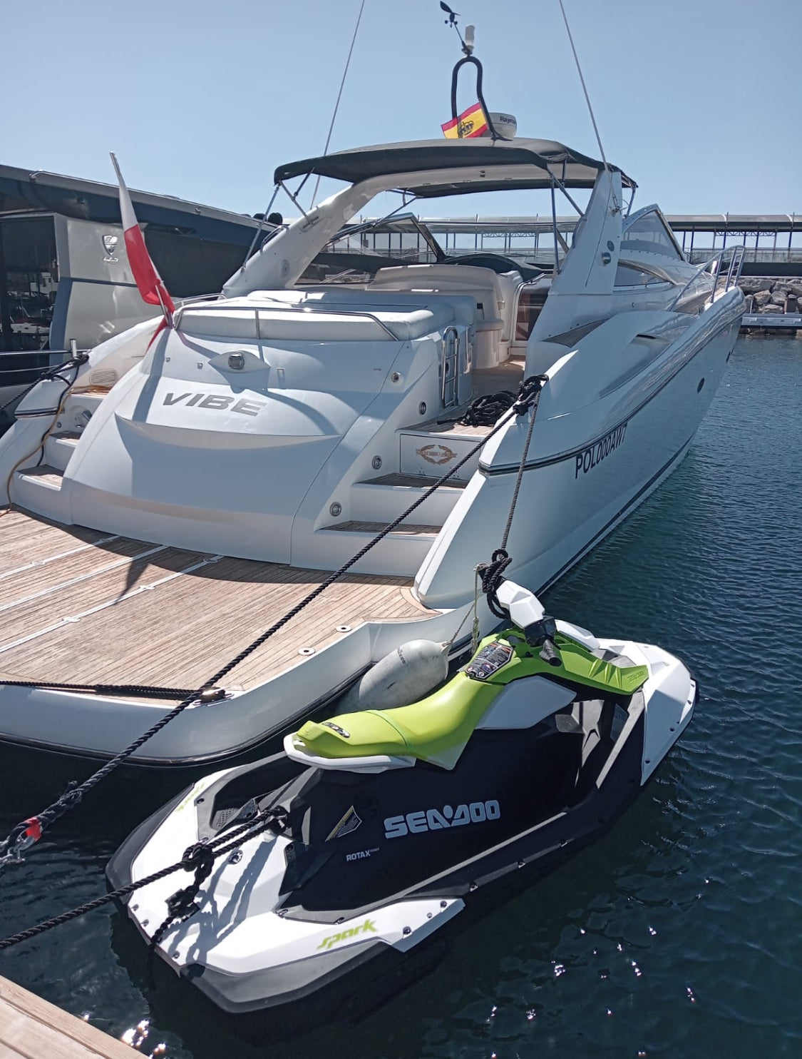 SUNSEEKER PREDATOR 55